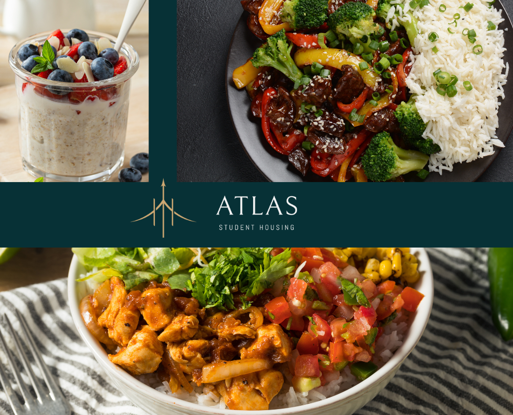 Easy & Healthy Meals for Students: Quick Recipes for Busy Days